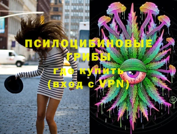 гидра Вяземский