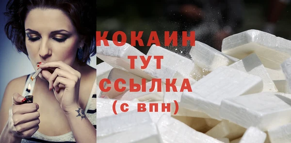 гидра Вяземский