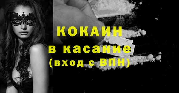 гидра Вяземский