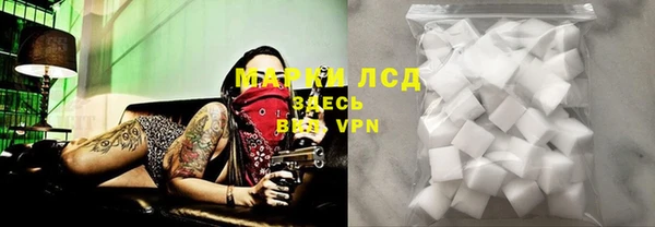 гидра Вяземский