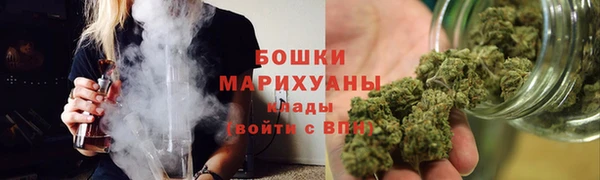 гидра Вяземский