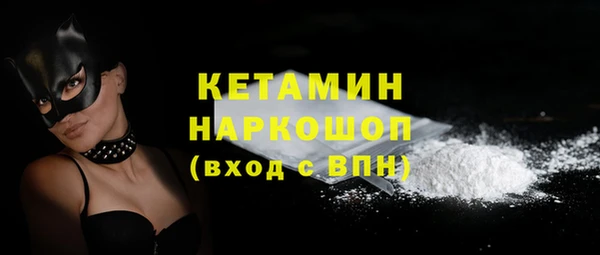 гидра Вяземский