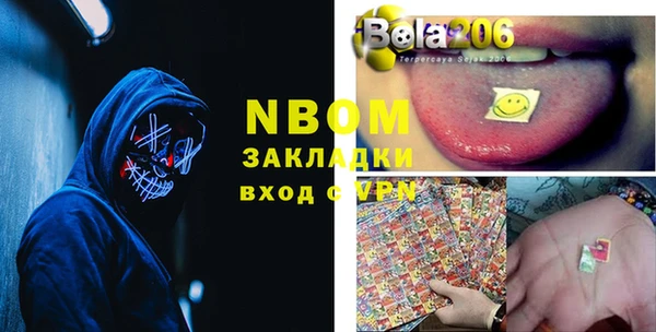гидра Вяземский