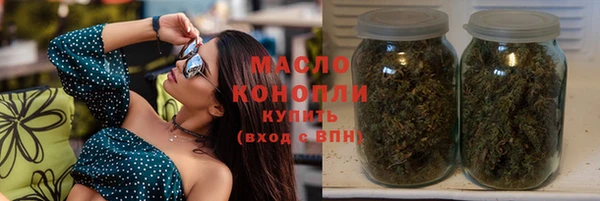 гидра Вяземский